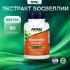 NOW, Boswellia Extract 500 мг, 90 гел. капс.