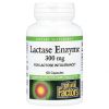Natural Factors, Lactase Enzyme ,  60 капс.