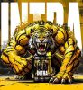 Reckful, Intra Workout, 1 пак.