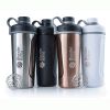 Radian Insulated Stainless 769 мл