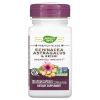 Natures Way, Echinacea Astragalus & Reishi, 100 капс.