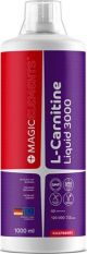 Magic Elements, L-Carnitine 3000, 500 мл.