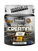 Muscle Lab, Premium 100% Creatine, 250 г.