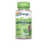 Solaray, Astragalus 400 мг, 100 капс.